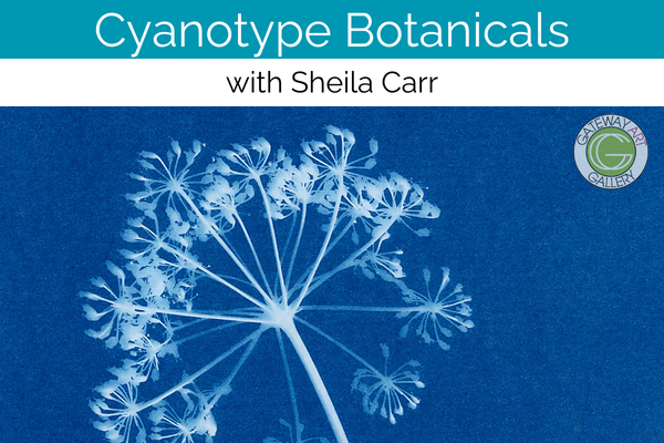Cyanotype Botanicals