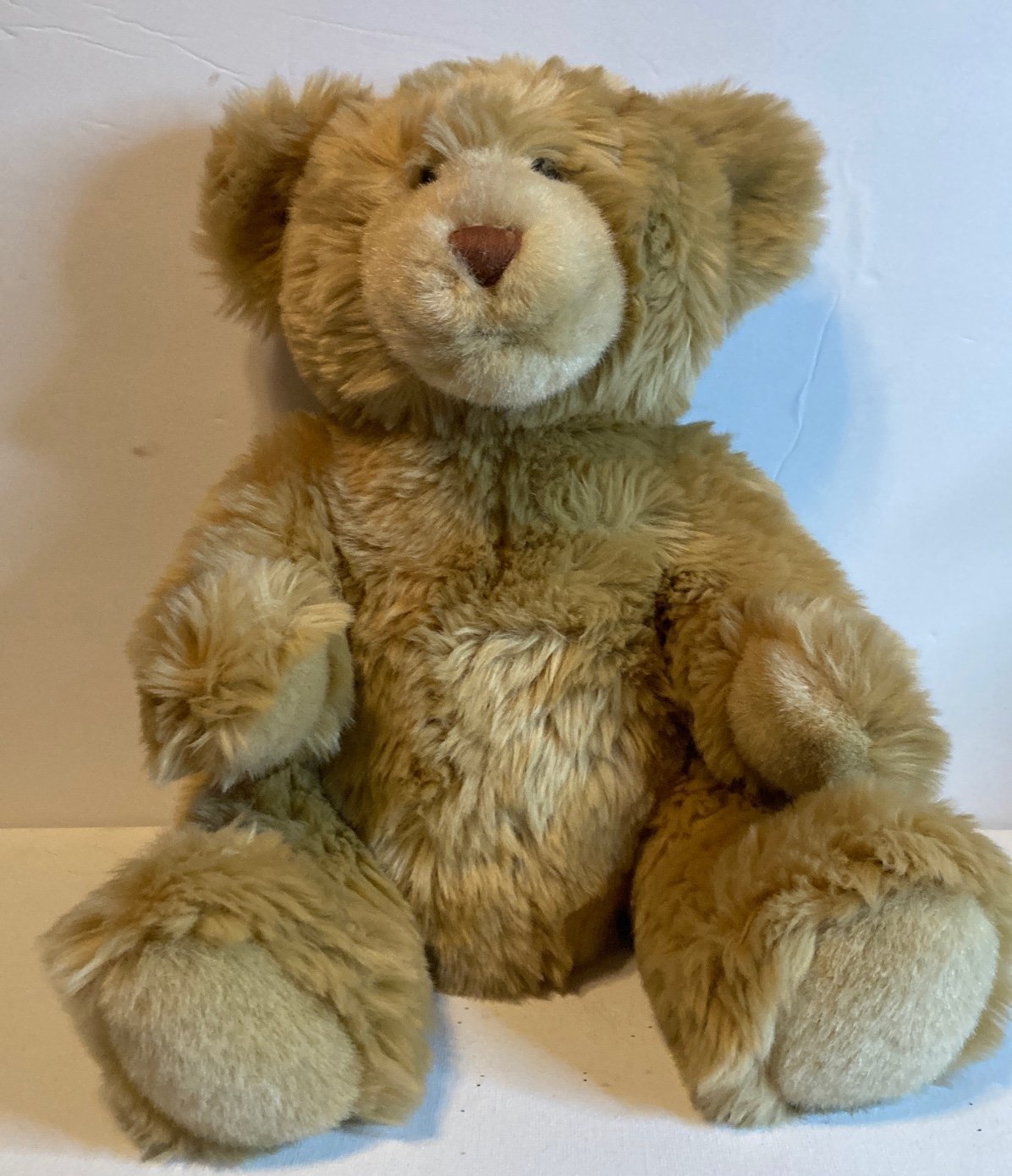 Build a Bear Teddy Bear