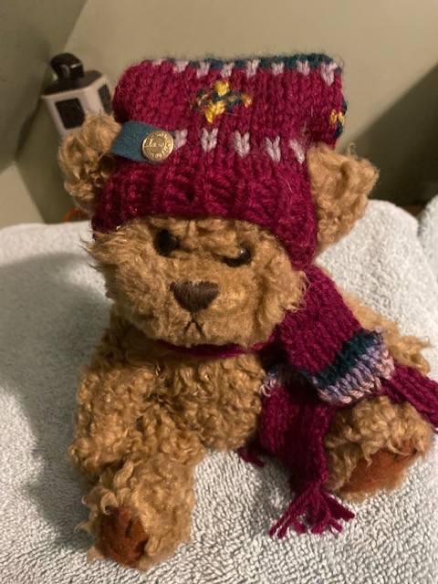1996 Brass Button Collection Bear Dooley Hat & Scarf Pickford Bears S Christmas