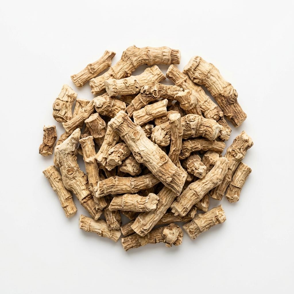 Solomon's Seal Root