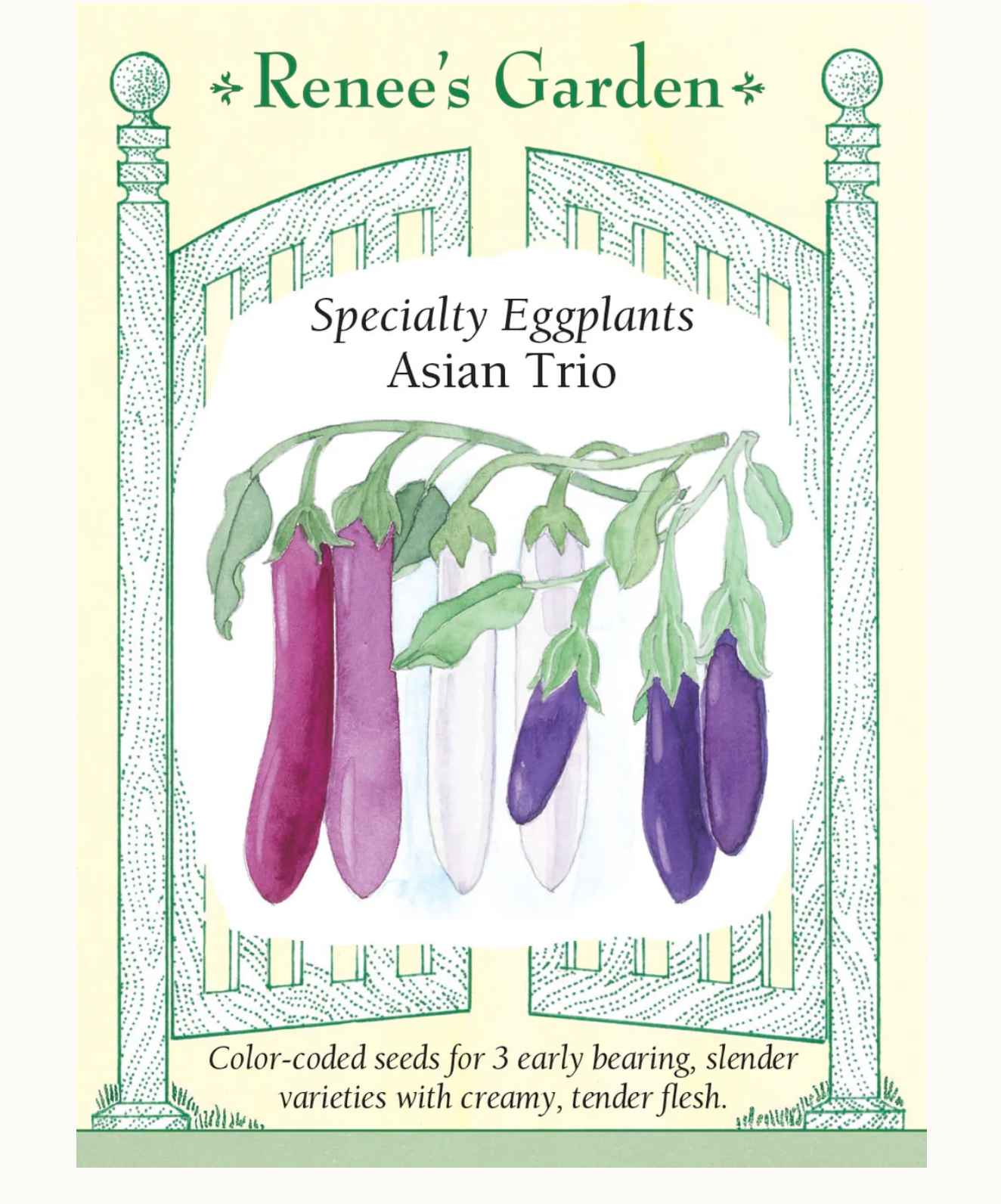 Asian Trio Specialty Eggplants Seed Mix - Thumbnail 5