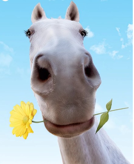 Hope your day is filled with Sunshine and Smiles