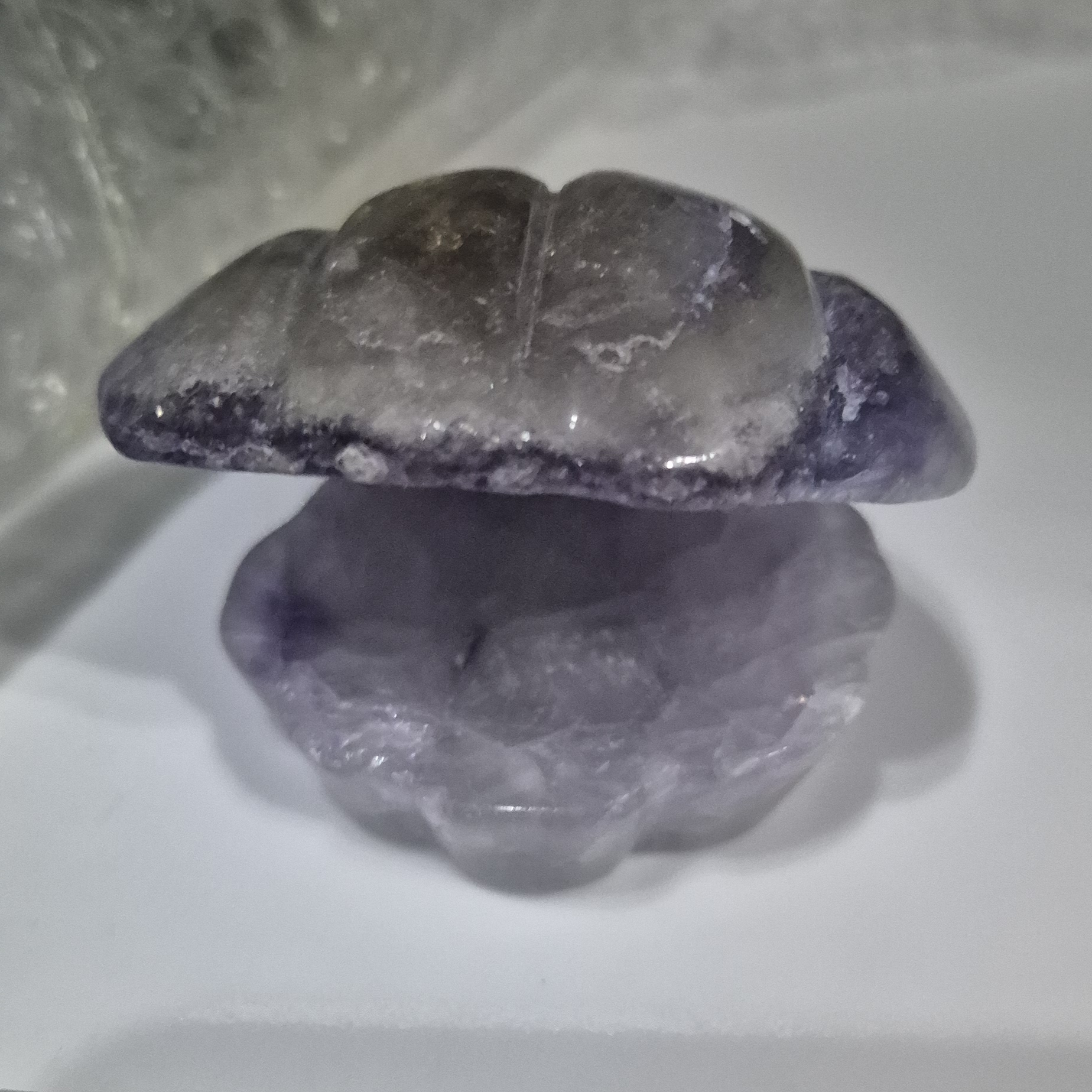 Medium Fluorite Shell
