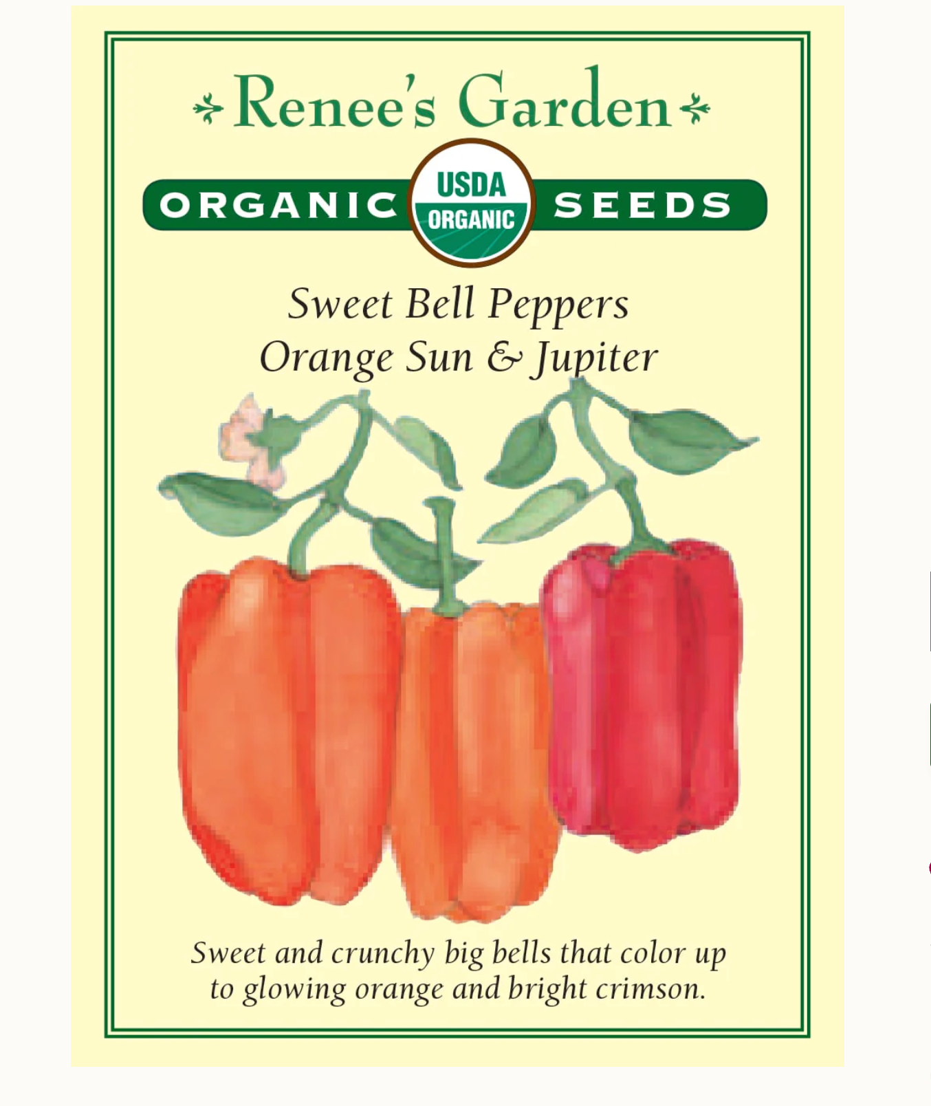 Renee's Garden | Sweet Bell Peppers Orange Sun & Jupiter Organic