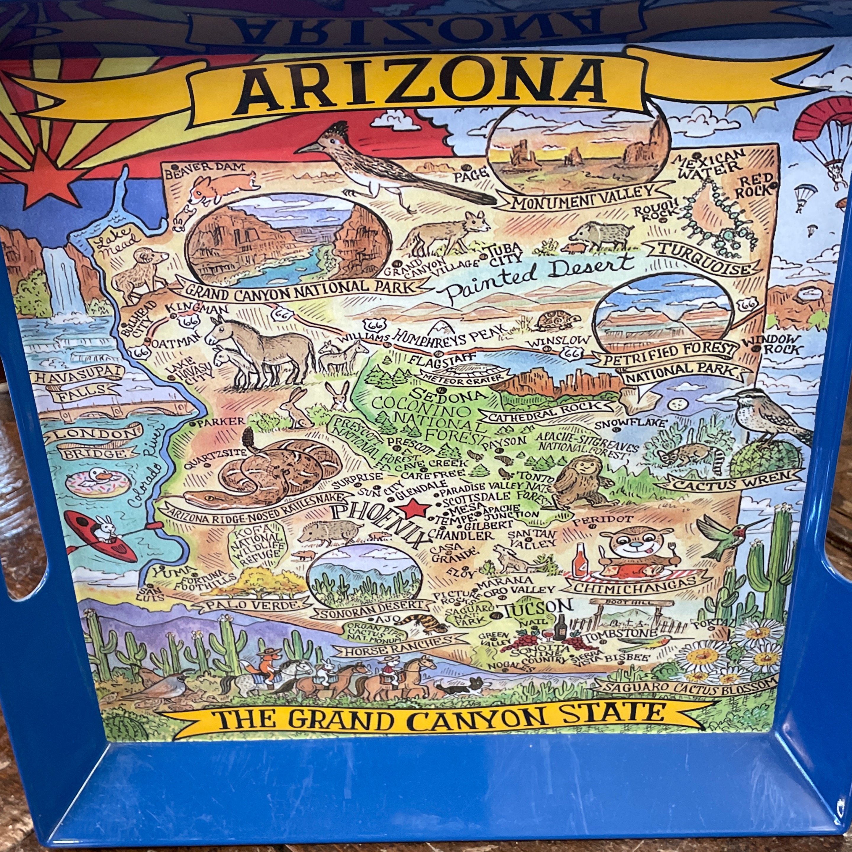 Arizona Tray with Handle