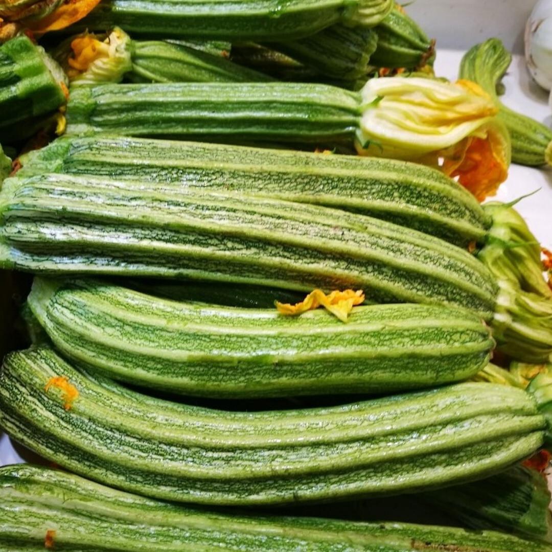 Romanesco Courgette - 2x Plug Plants - Interesting Variety