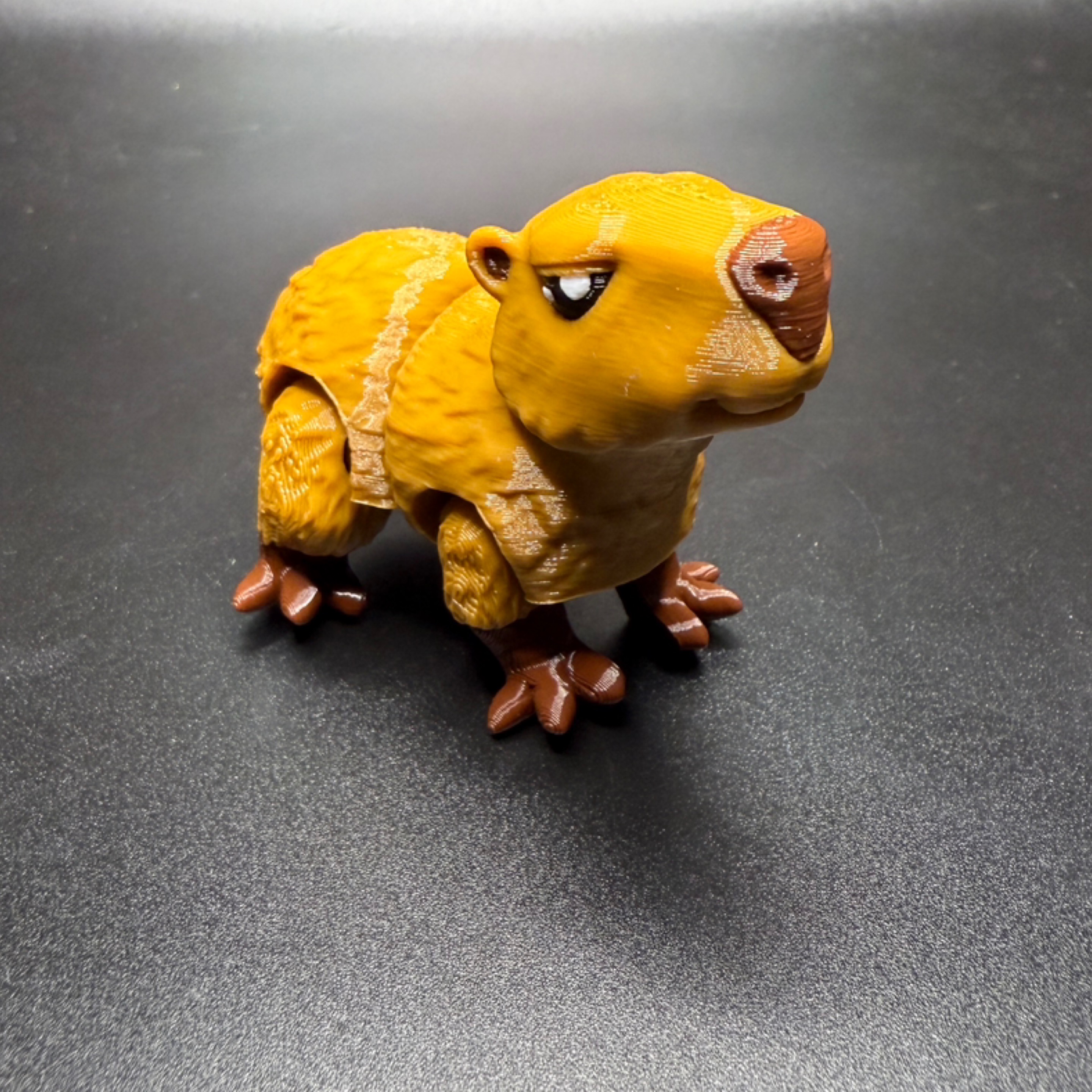 Mini Capybara