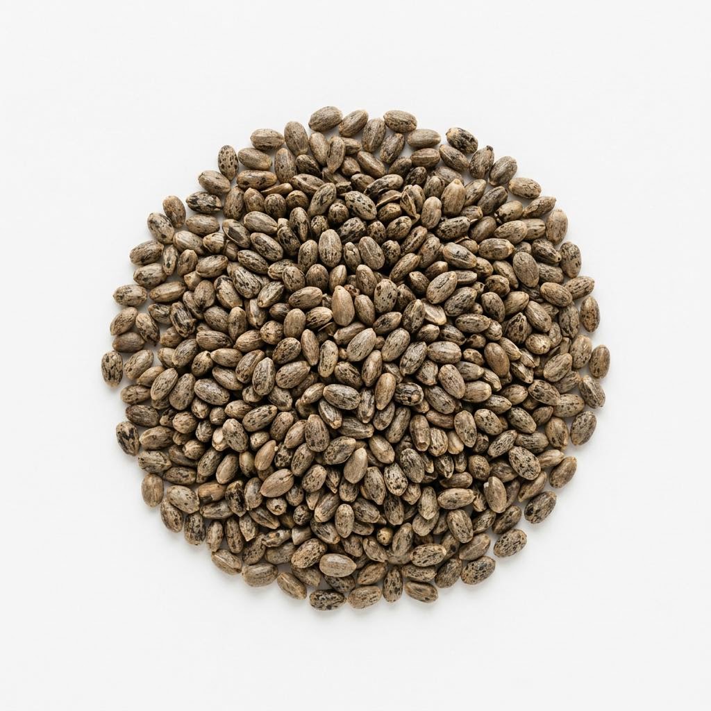 Milk Thistle Seeds