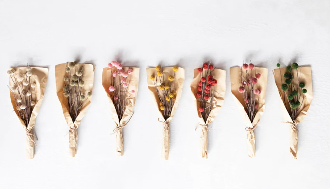 Dried Thistle Bunch, Multiple Colors - cream