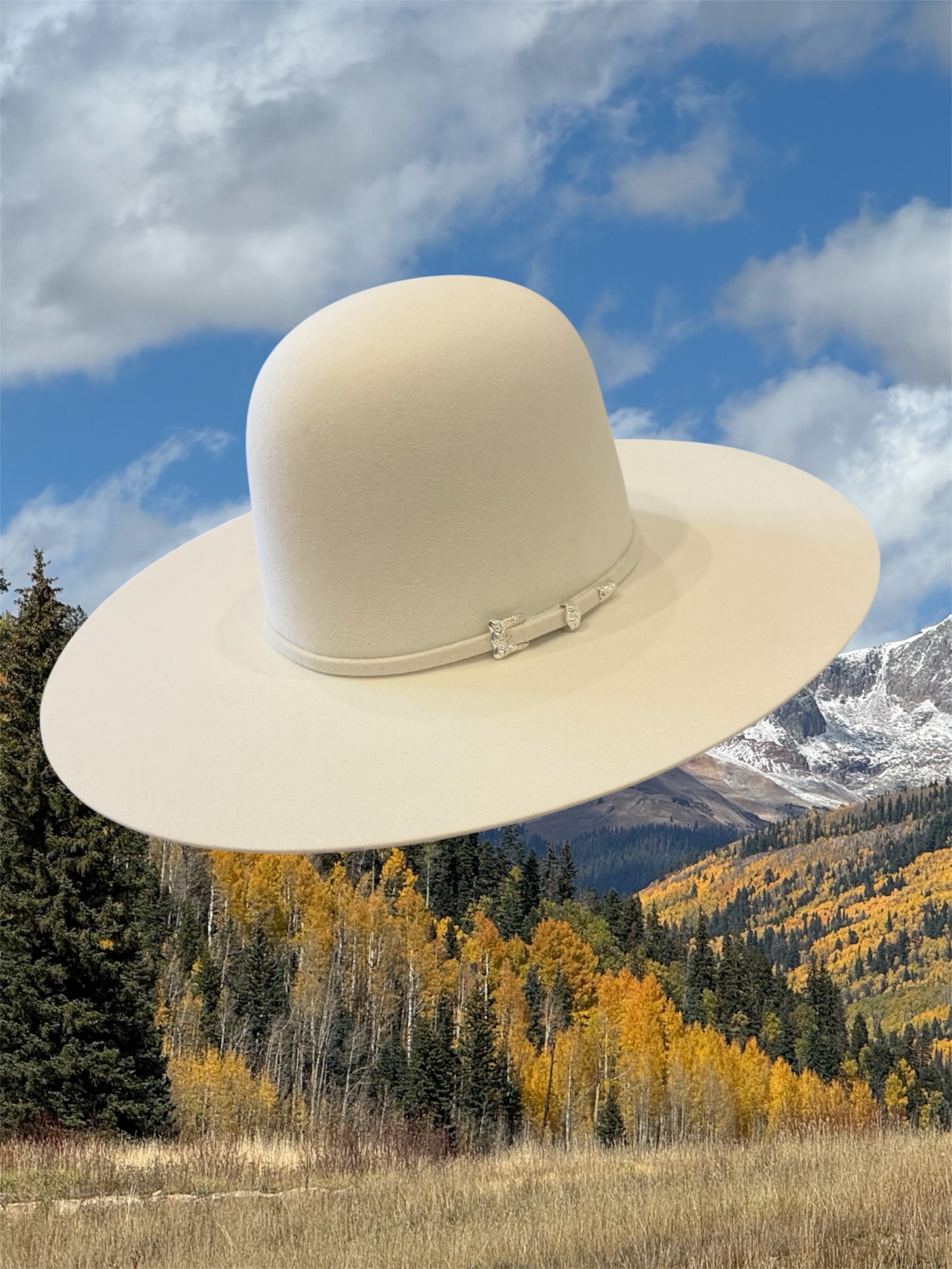 Serratelli 20X Fur Felt Cowboy Hat