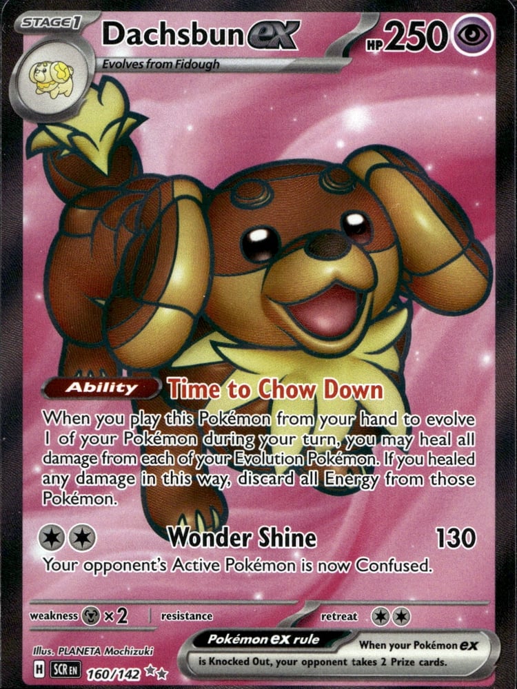 Dachsbun ex - SV07 160/142