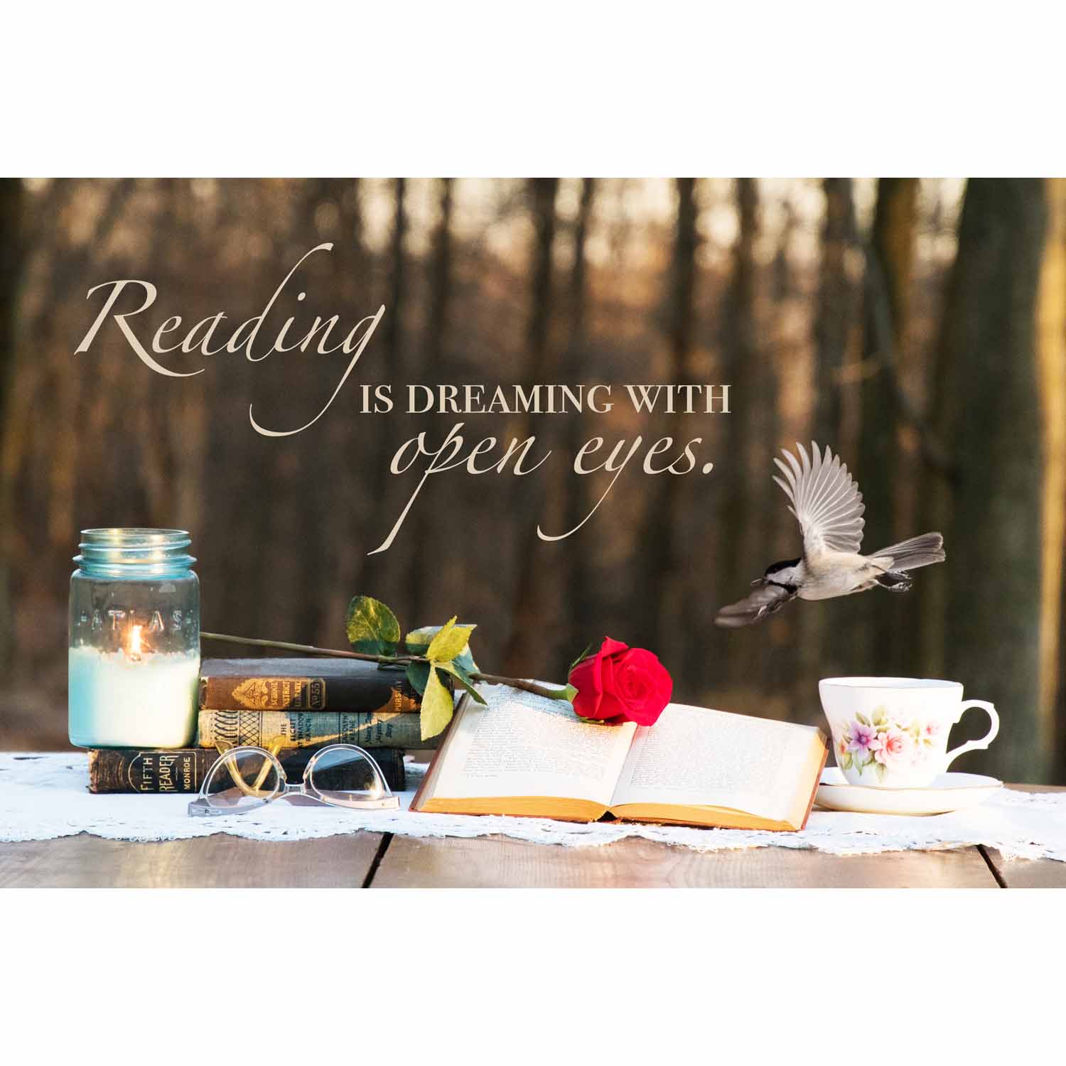 Reading is Dreaming