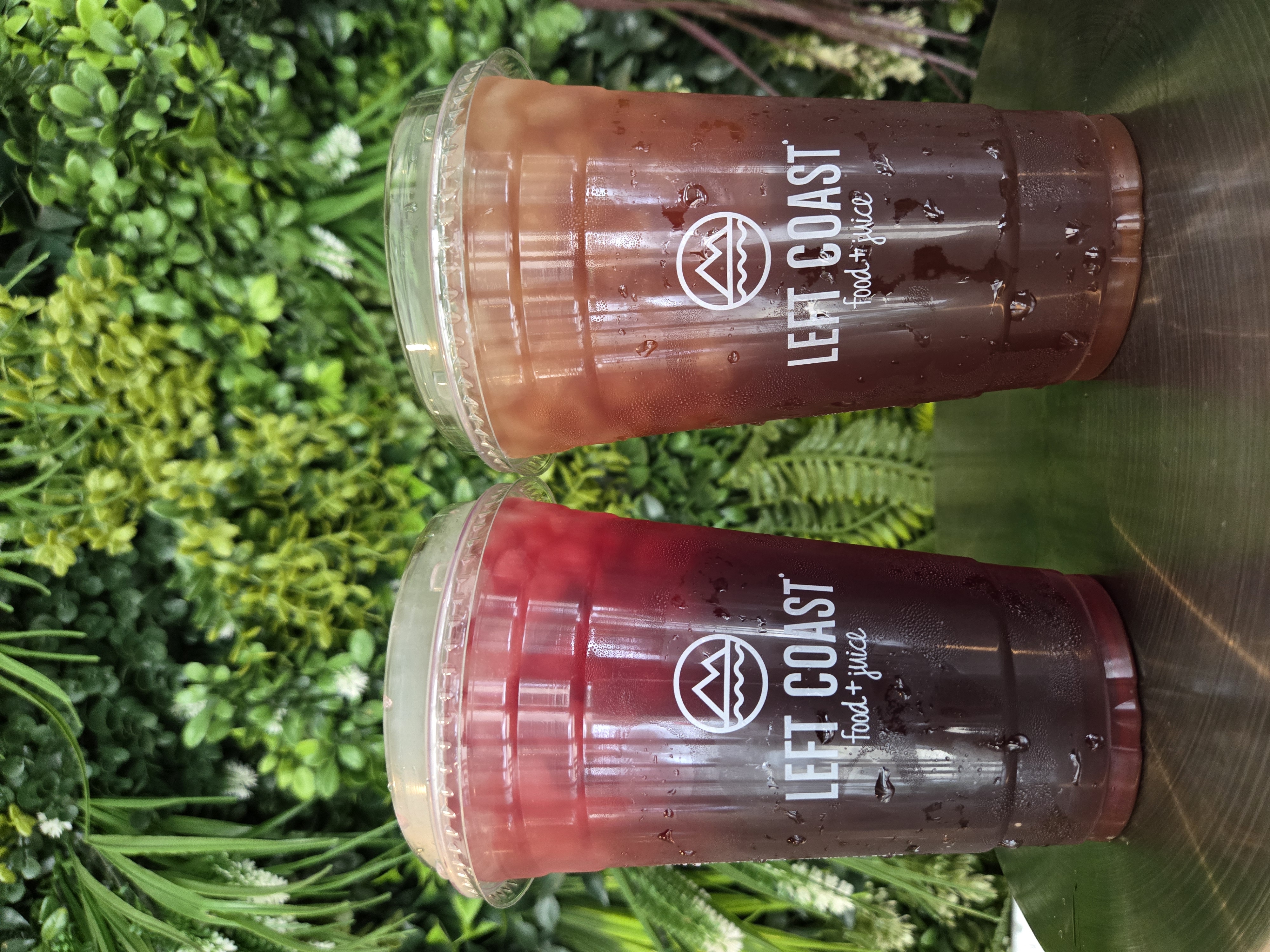 ICED TEA / HERBAL INFUSION