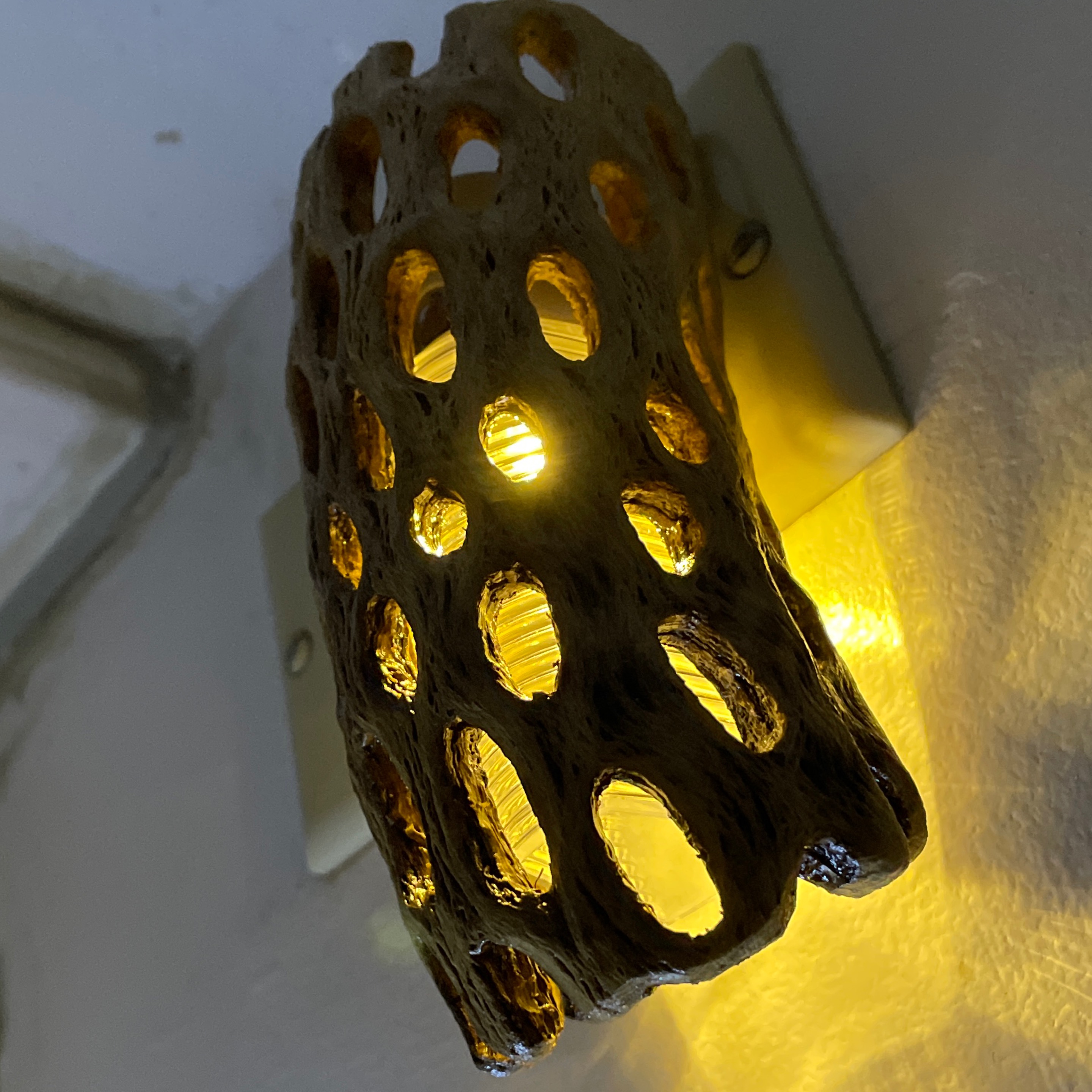 Cholla Cactus Night Light