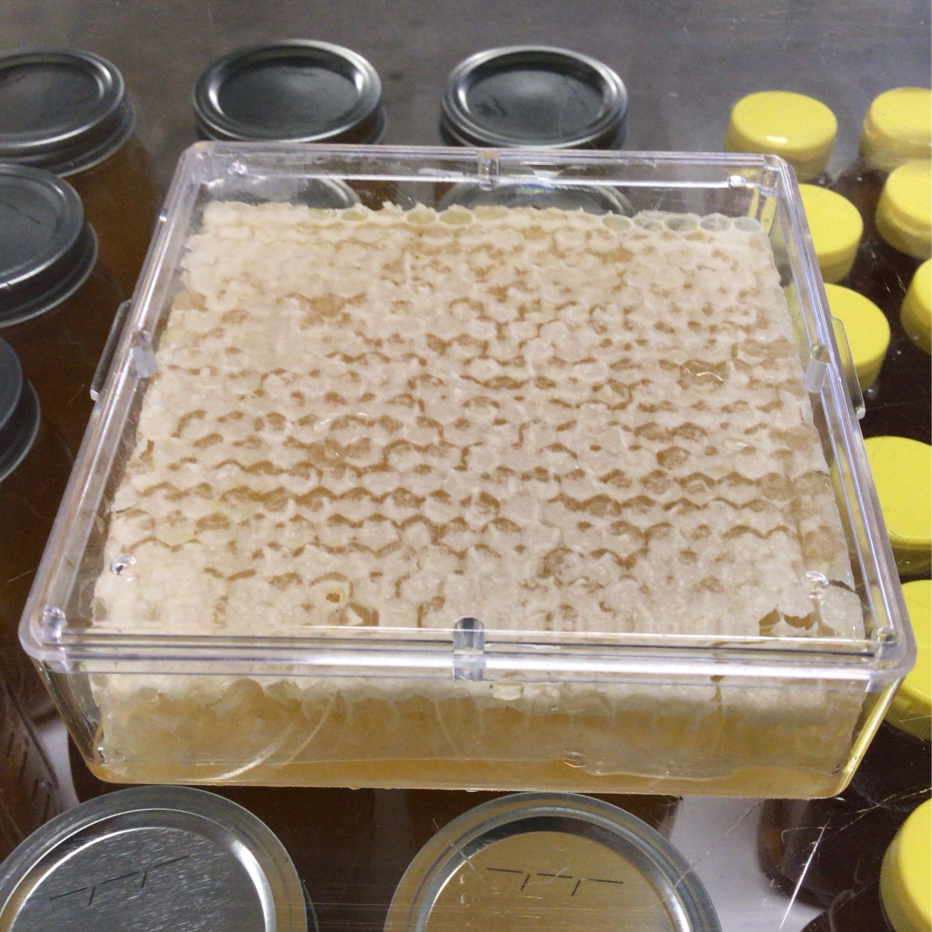 Honey Comb Square