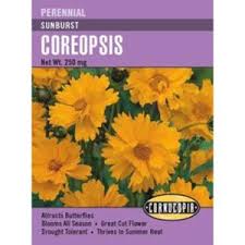 Sunburst Coreopsis Seed Pack