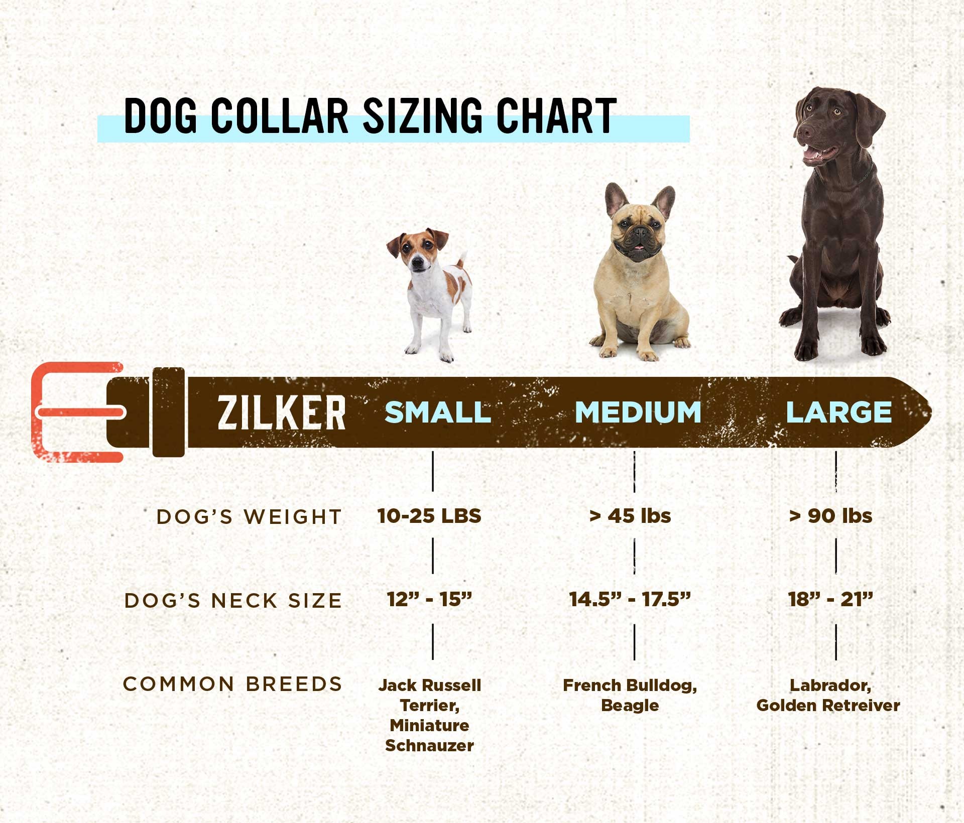 Zilker Belts - Willie Dog Collar