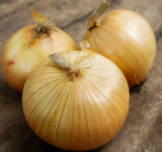 Onion