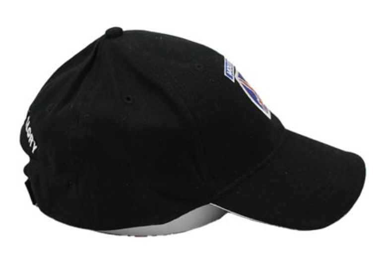 10th Mountain Division Logo Hat Black
