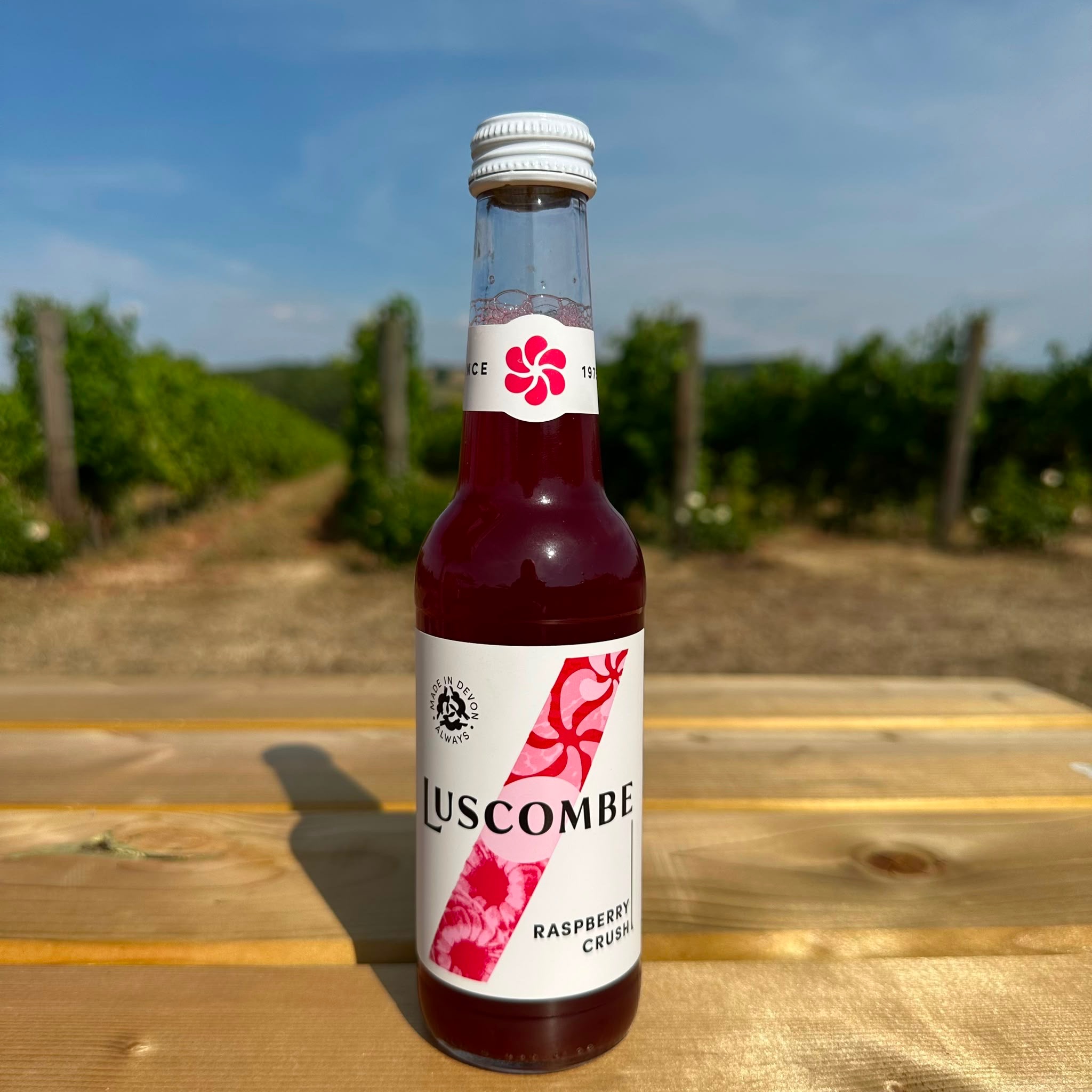 Luscombe Raspberry Crush