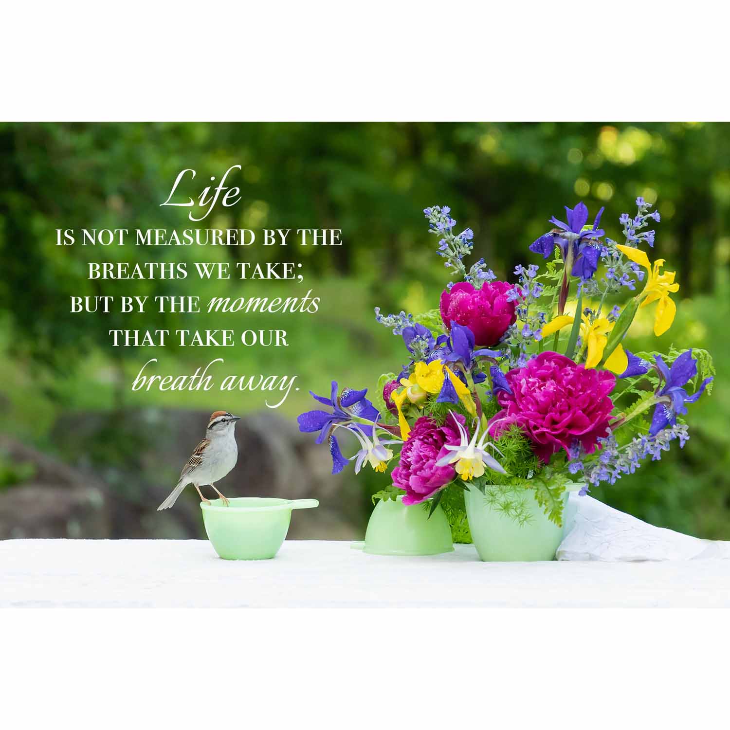 Life is Measured