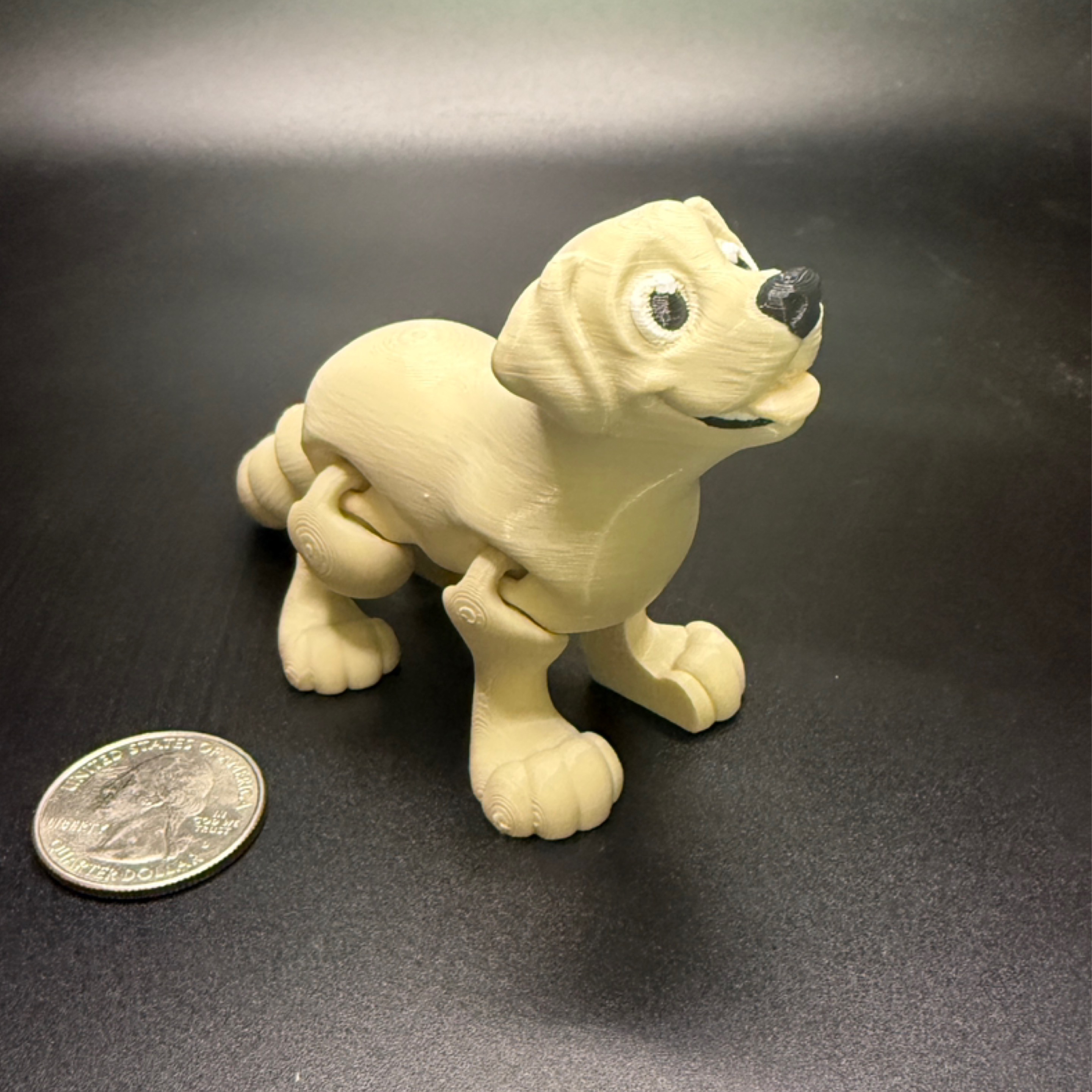 Yellow lab