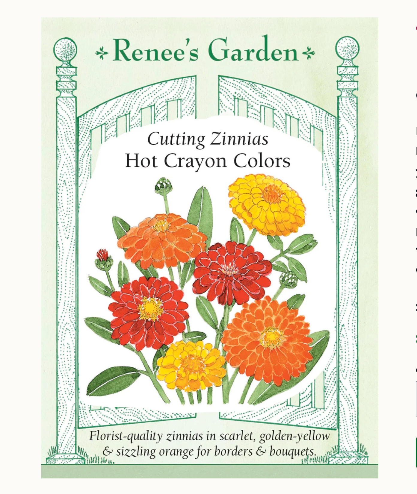 Renee's Garden | Cutting Zinnias Hot Crayon Colors