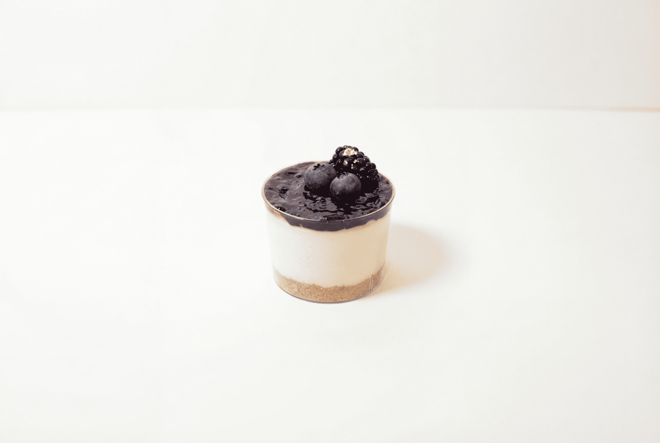 French Style Blueberry Cheesecake
