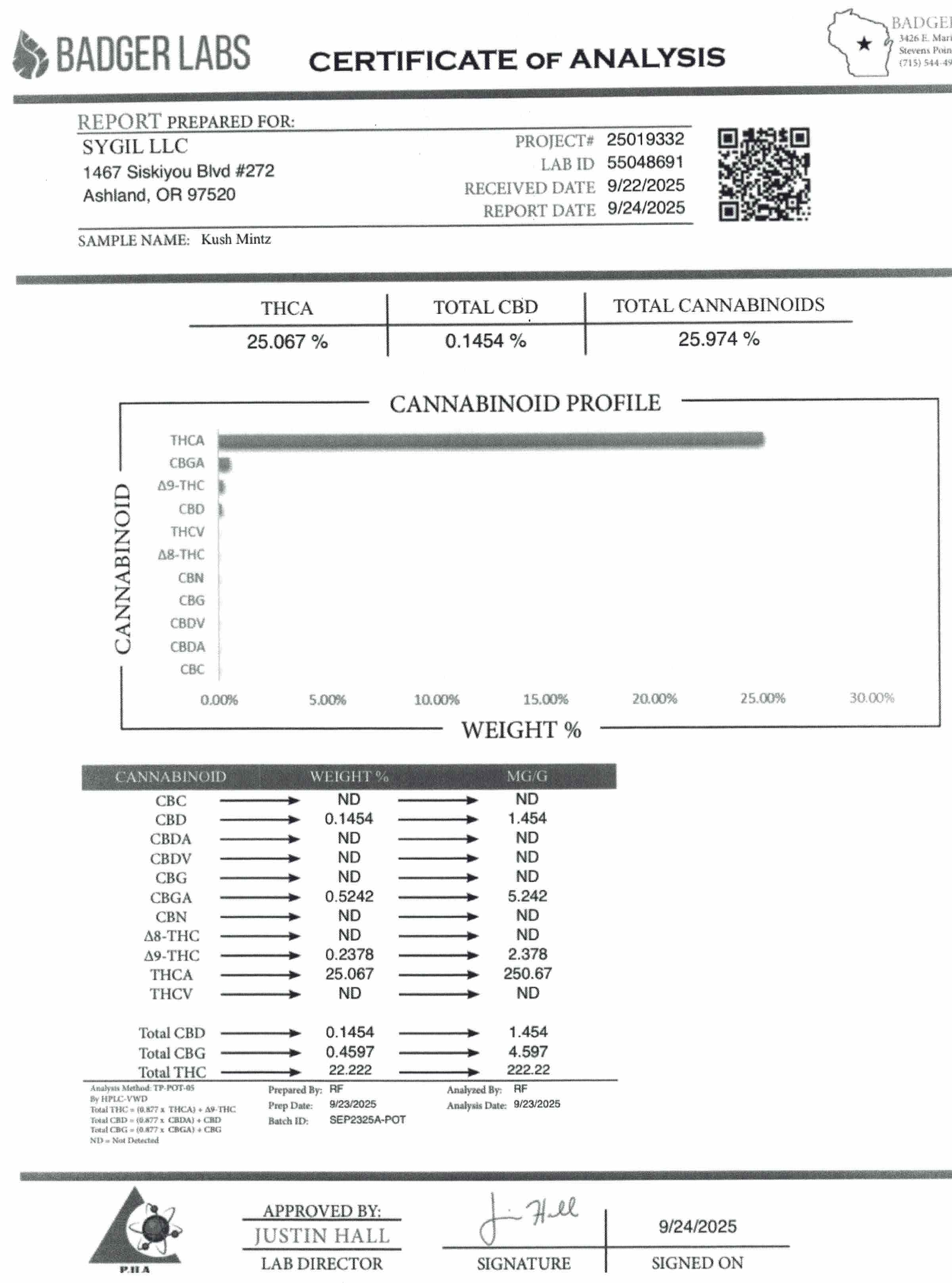 Kush Mintz 1g Blunt - Regular