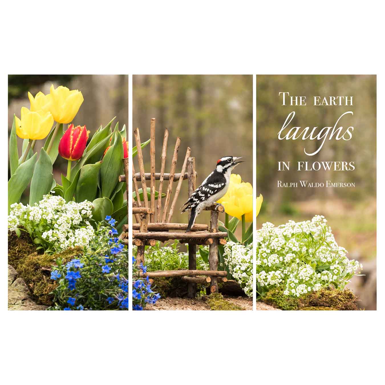 The Earth Laughs