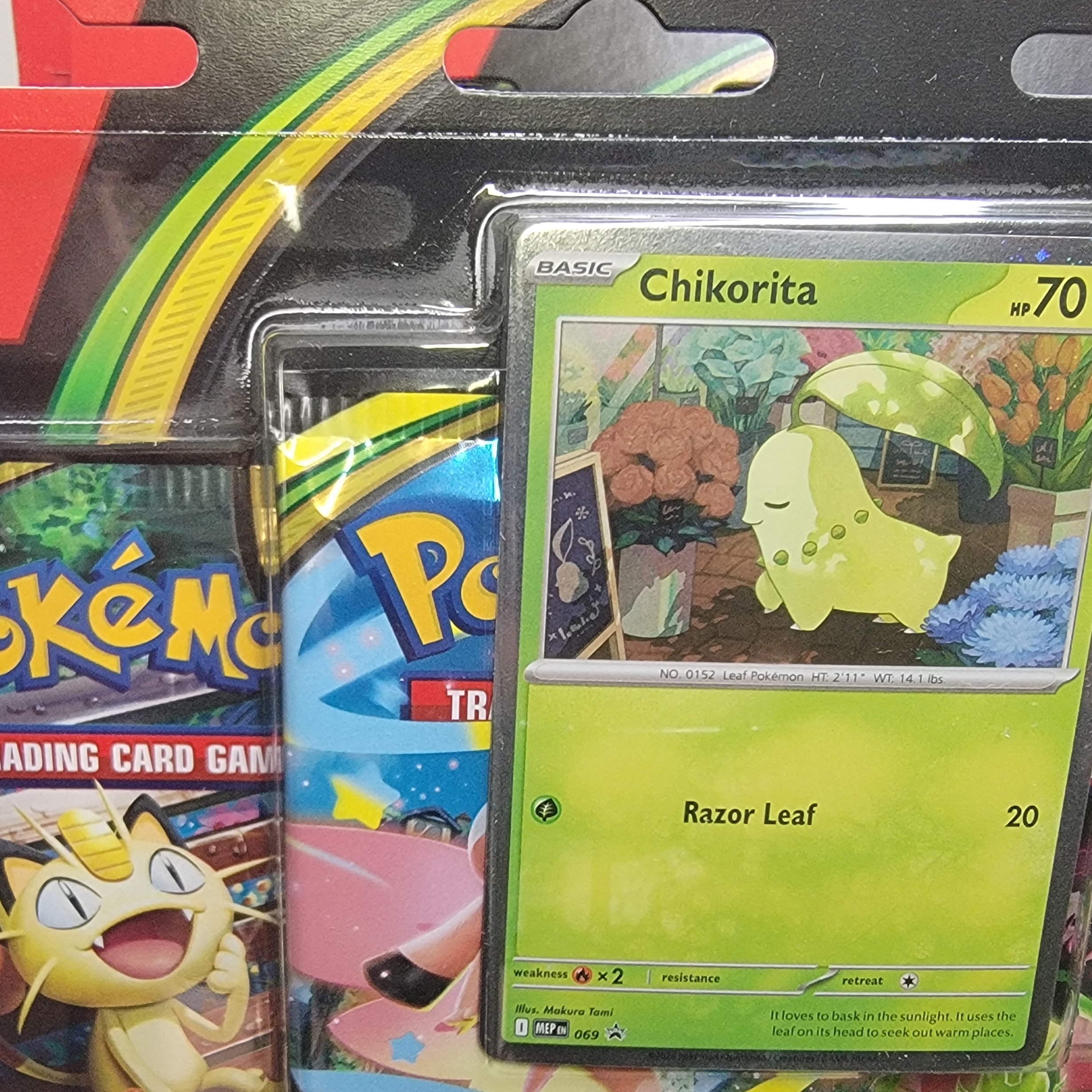 Perfect Order 3 Pack Blisters 