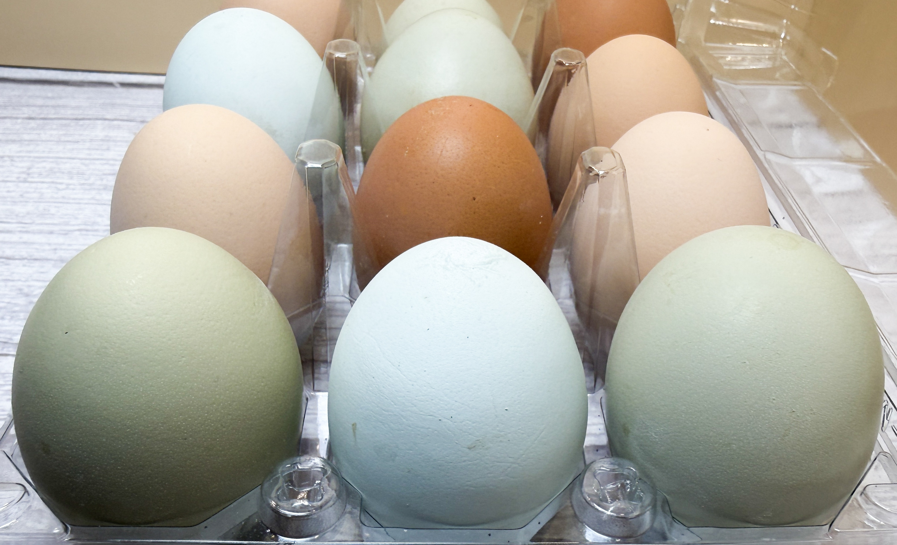 Rainbow Farm Fresh Eggs