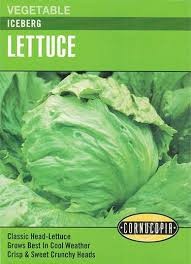 Iceberg Lettuce Seed Pack