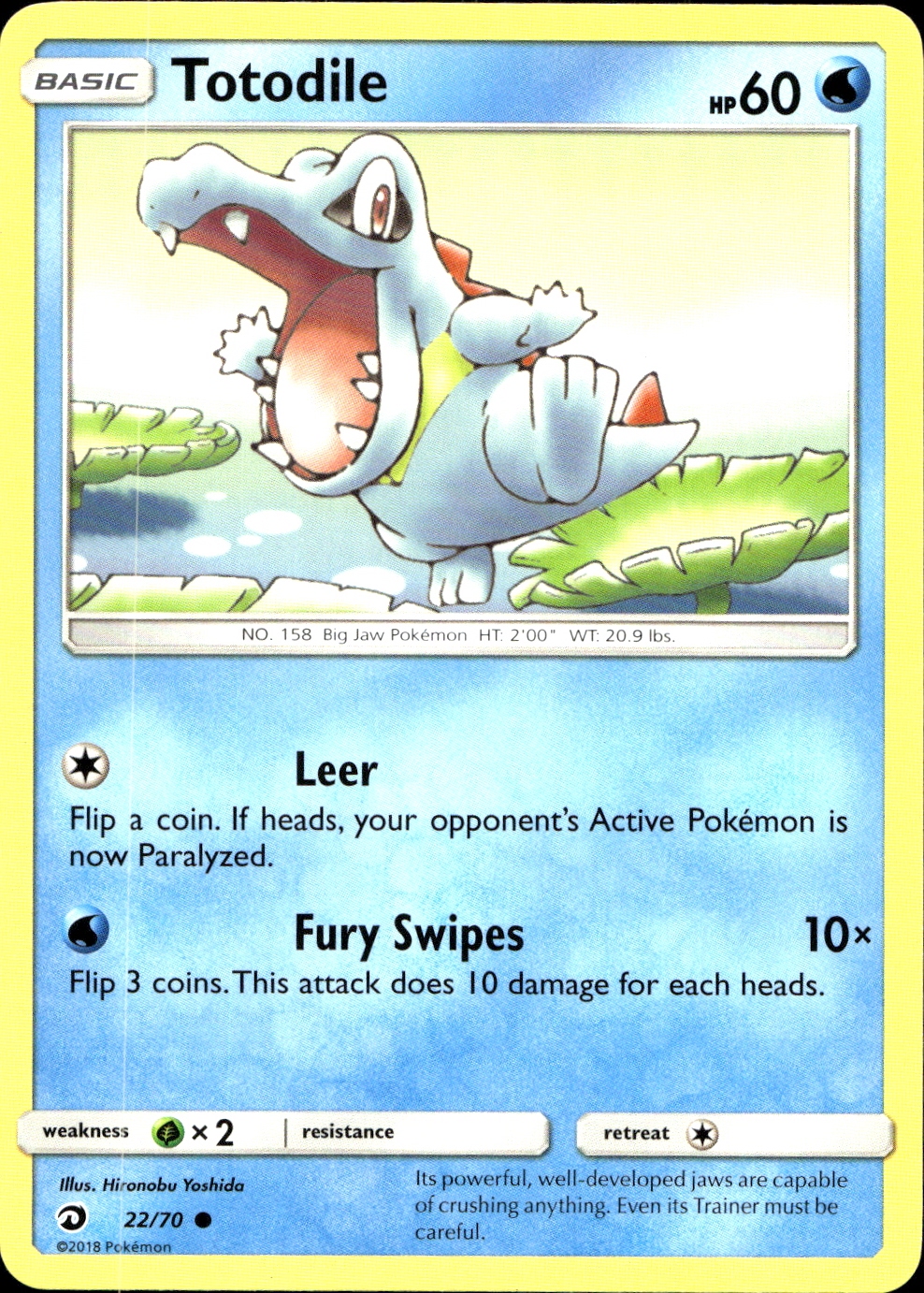 Totodile - SM7.5 22