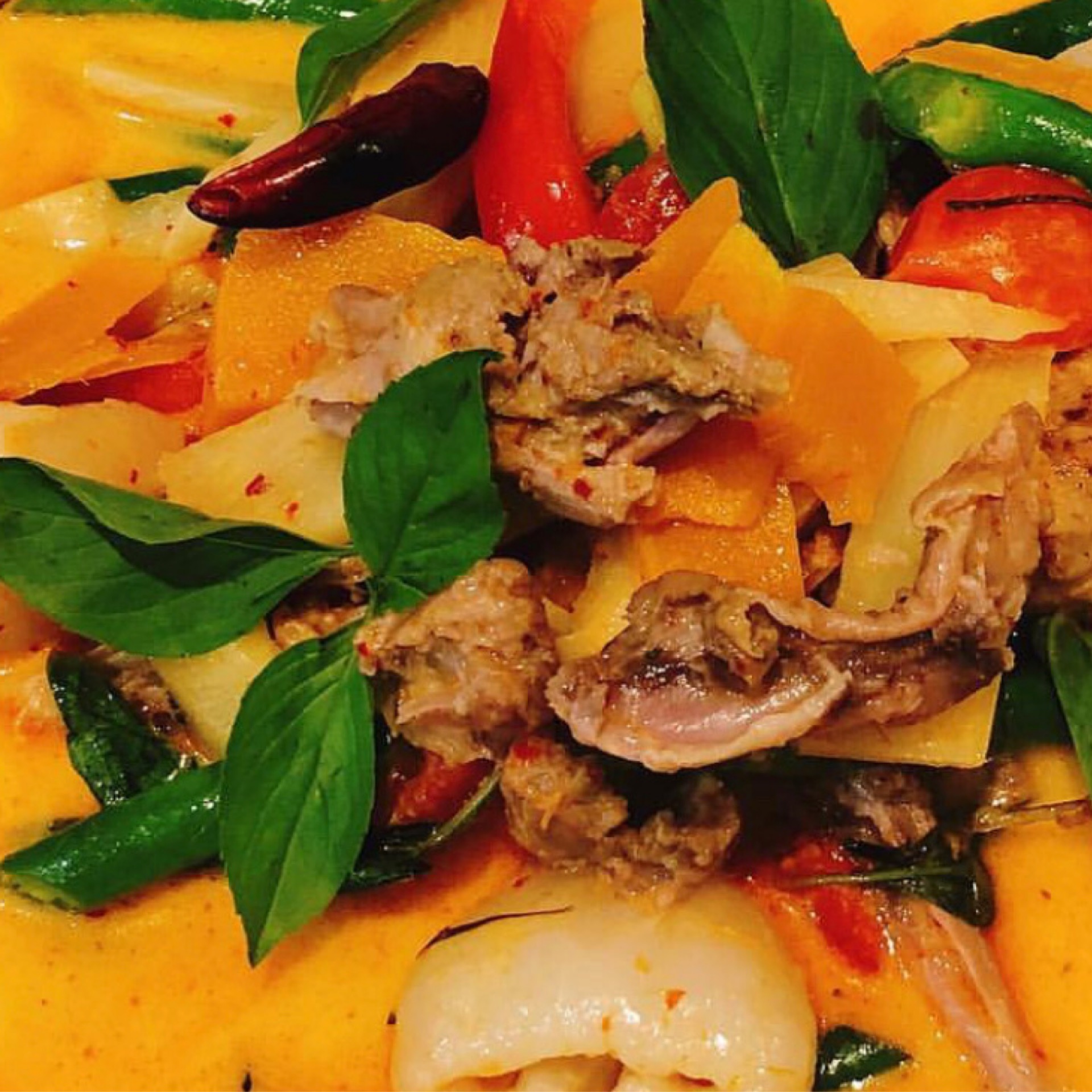 DUCK CURRY แกงเป็ด