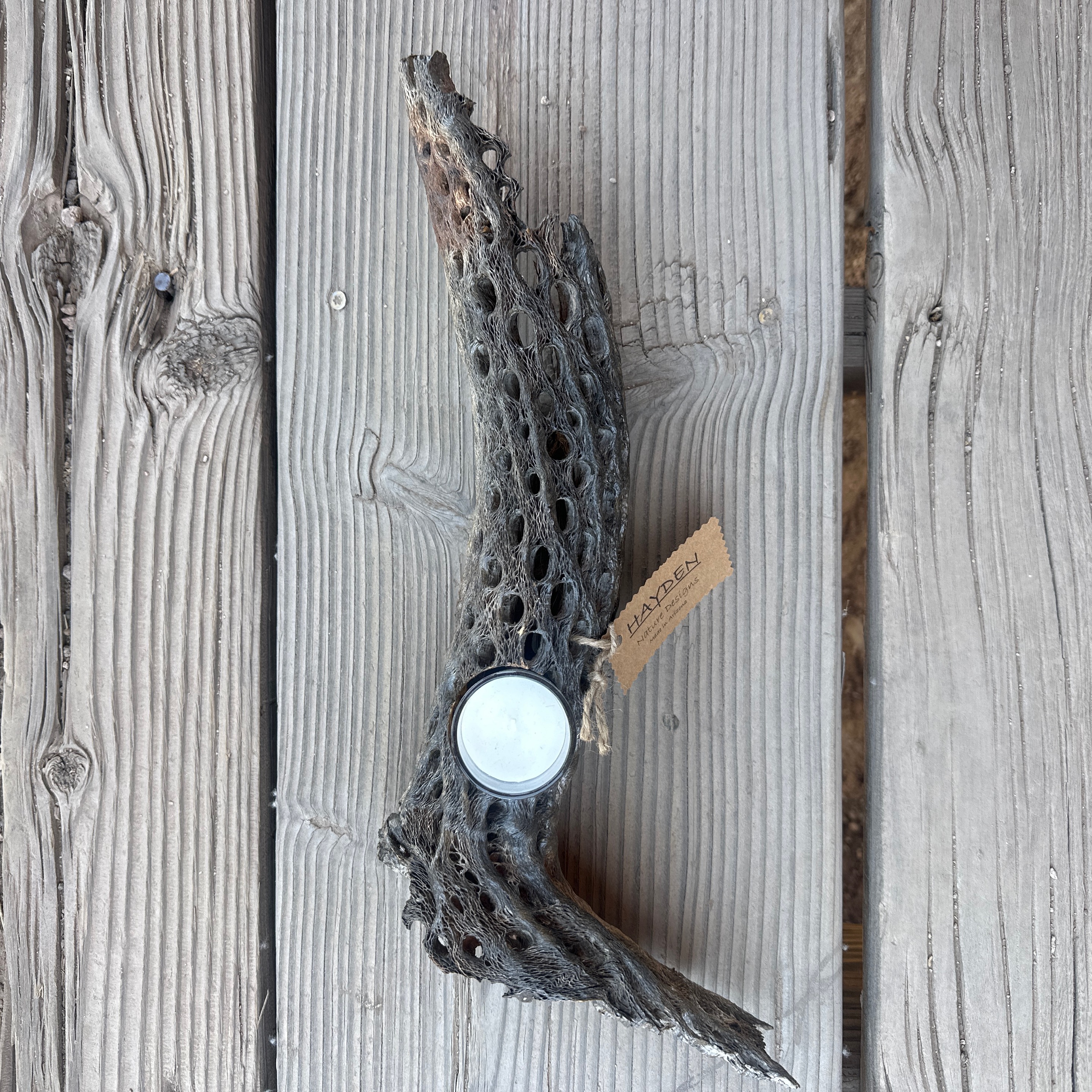 Cholla Cactus Candle Holder