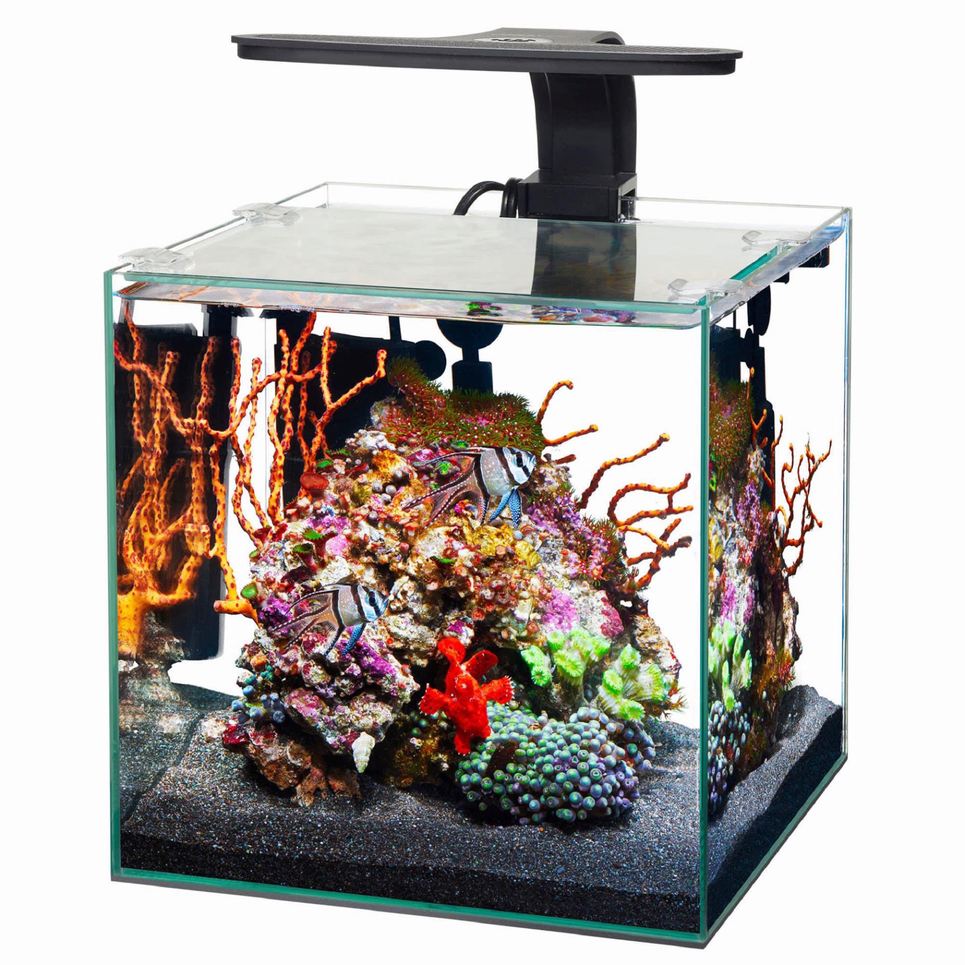 Aqueon 00800101: Tank Frameless Cube Size 3