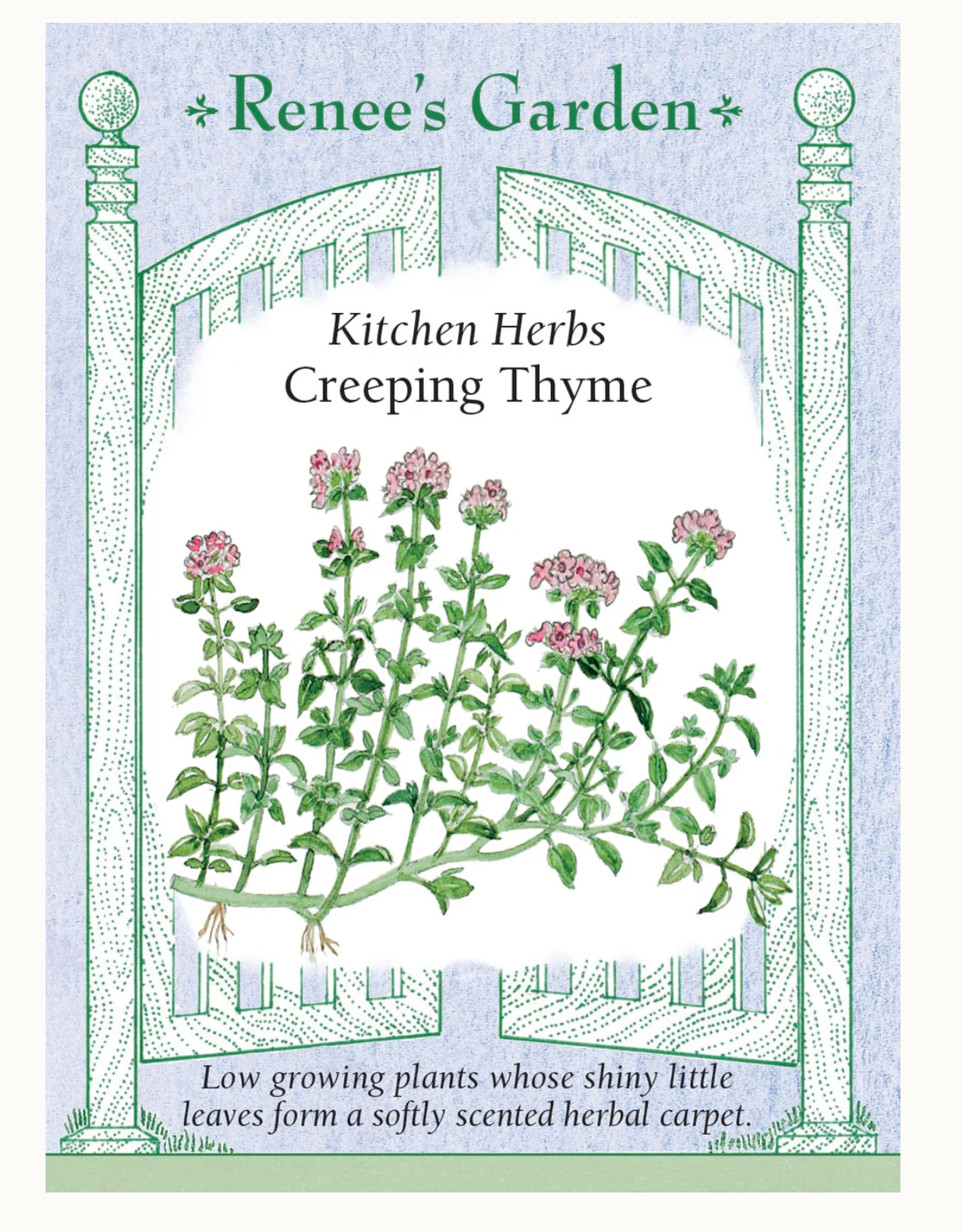 Renee's Garden | Kitchen Herbs Creeping Thyme