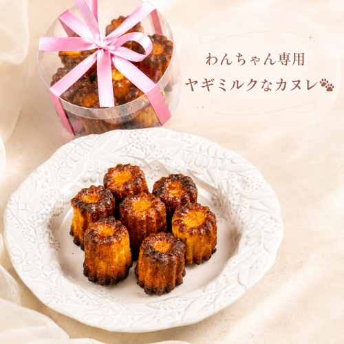 わんちゃん専用ヤギミルクなカヌレ｜LOULOU PETCAKE