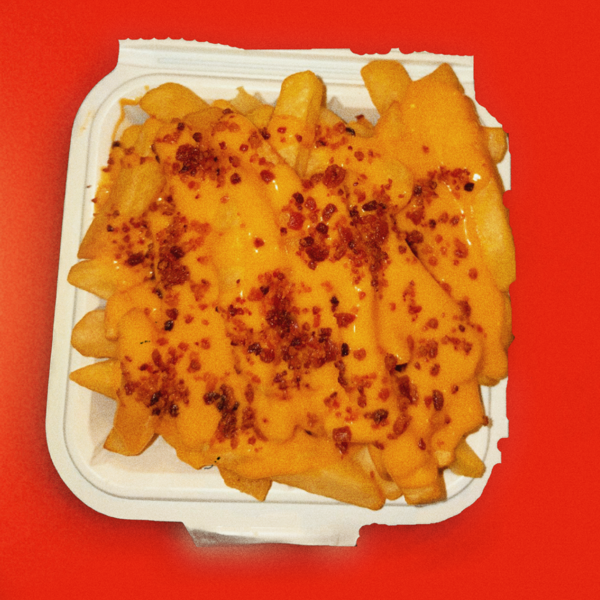 LOADED FRIES