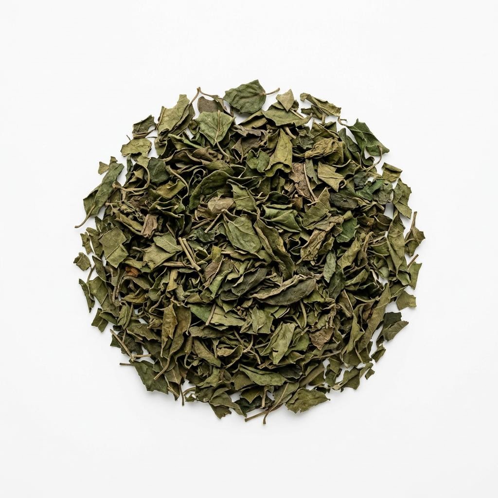 Gymnema Leaf