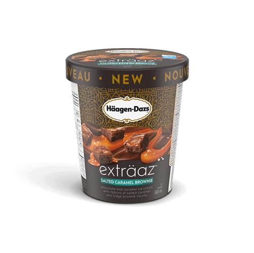 HÄAGEN-DAZS Extraaz Salted Caramel Brownie