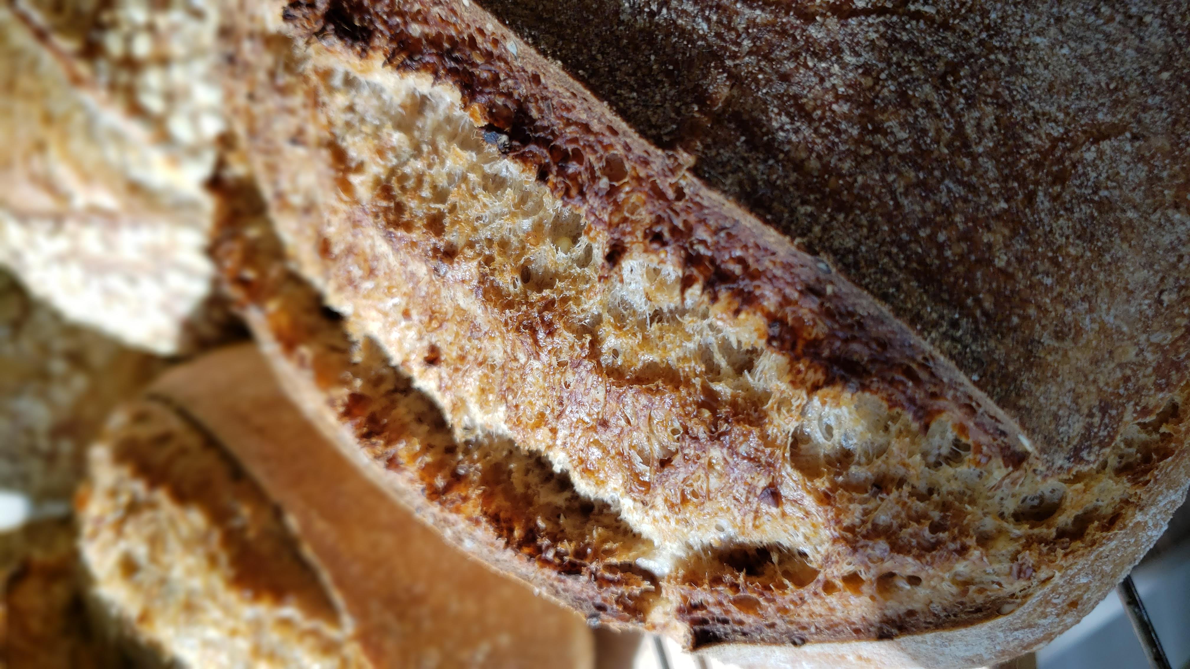 Honey Wheat
