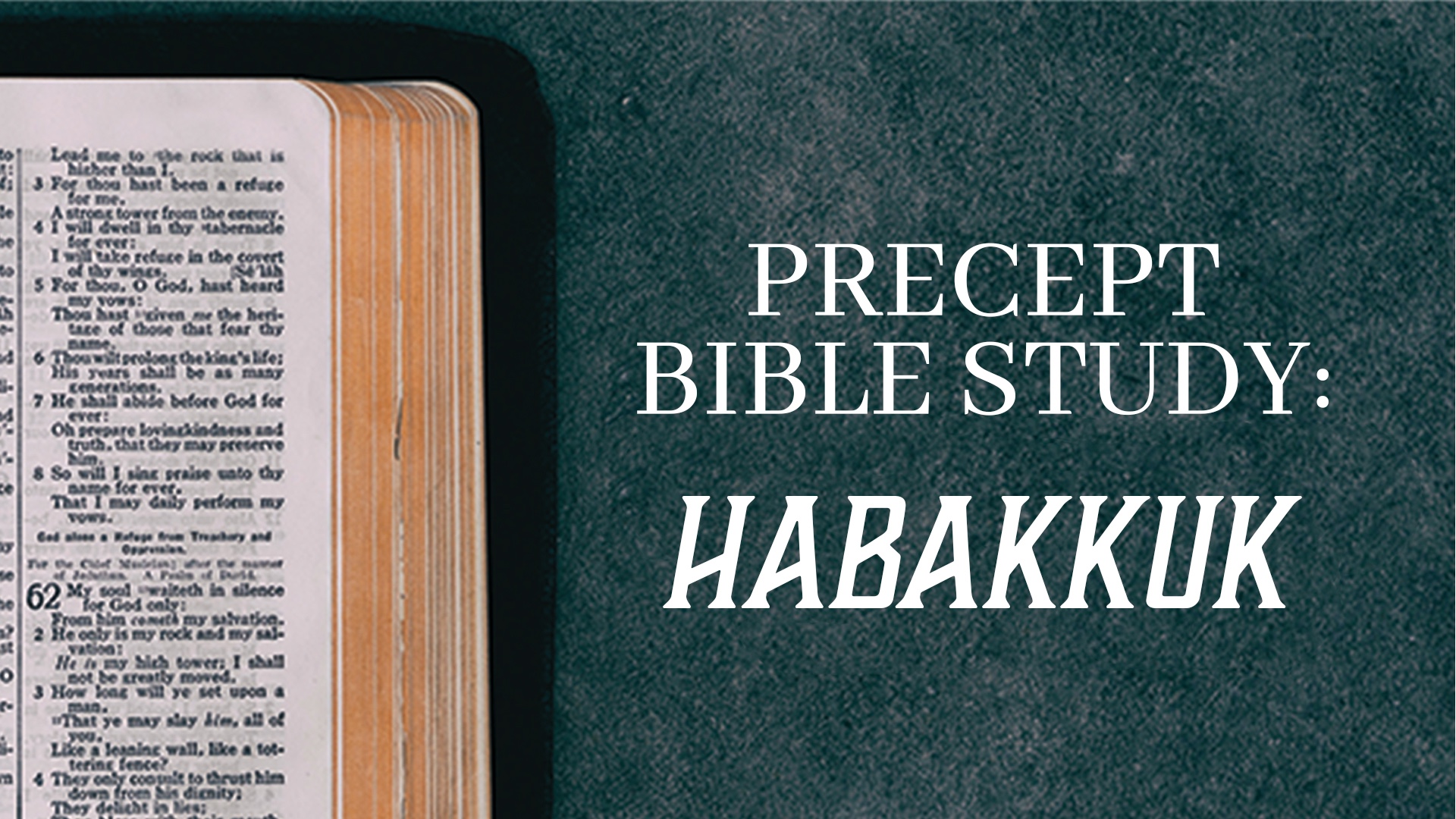 Habakkuk Precept Study
