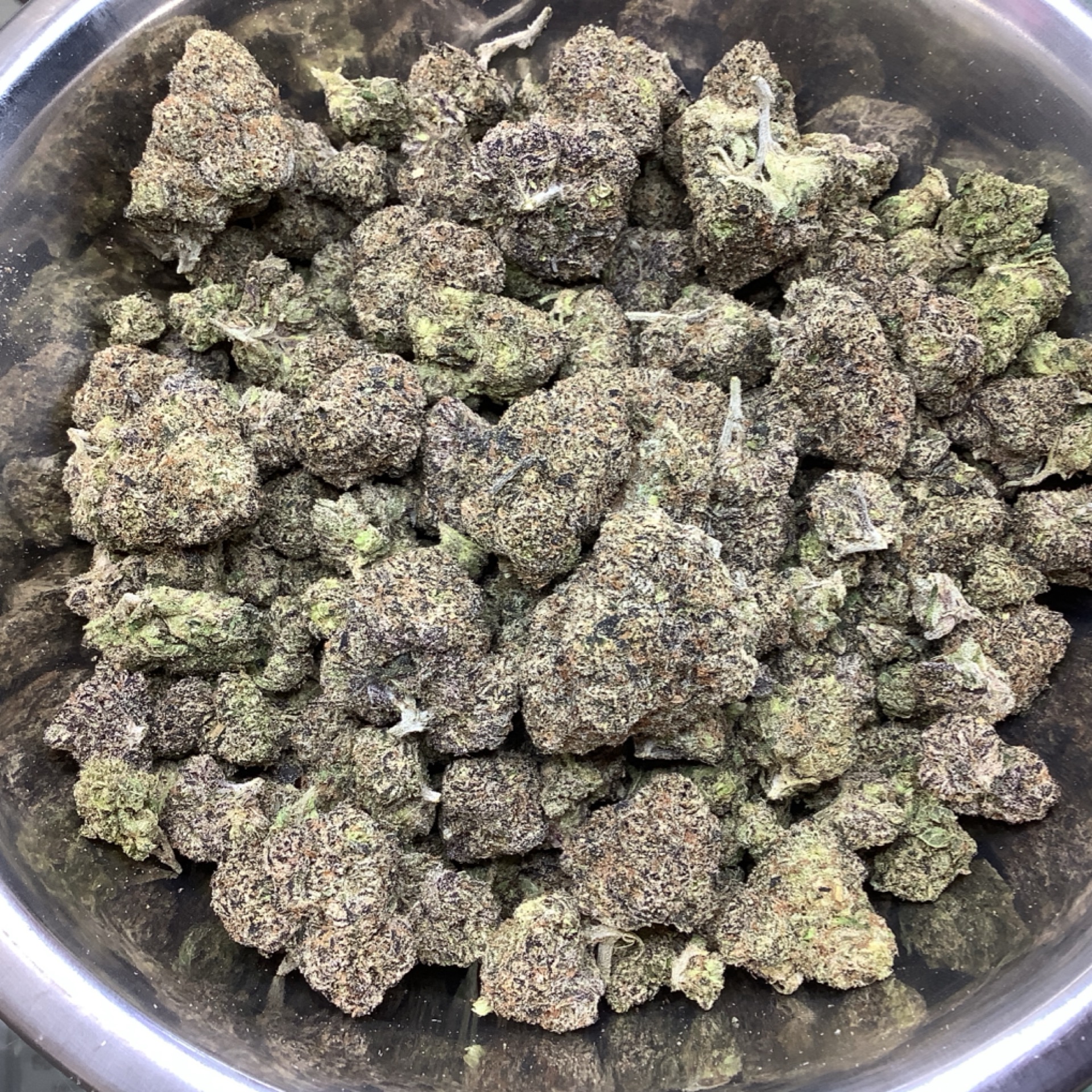 Bubblegum Gelato 31.63% THCA - Regular