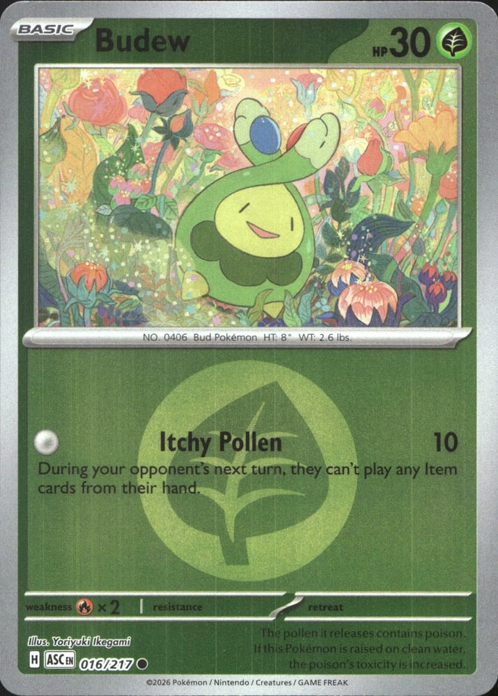 Budew - ME02.5 16/217