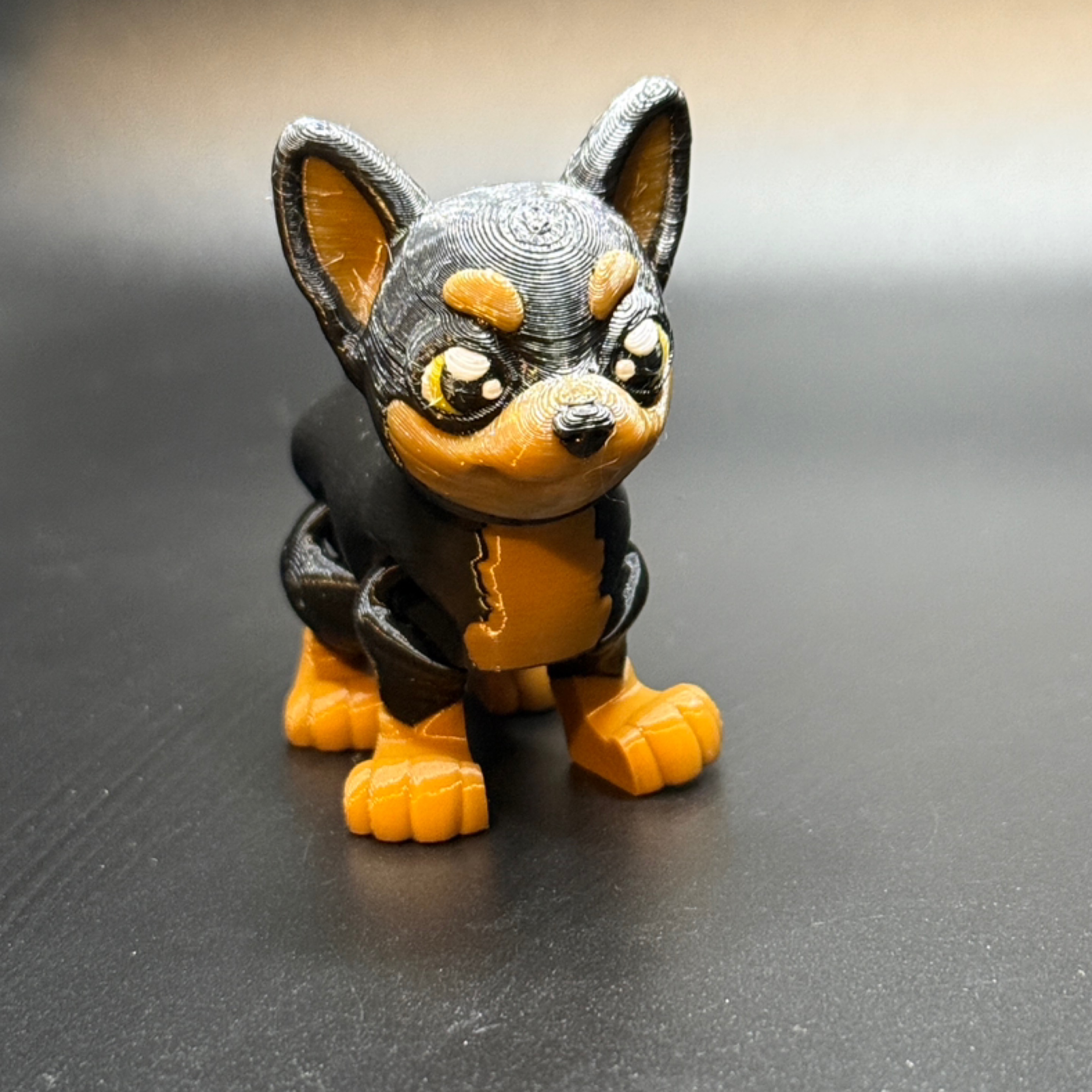 Chihuahua