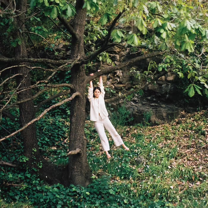 Maple Glider - To Enjoy Is The Only Thing by Unknown Artist - View 1