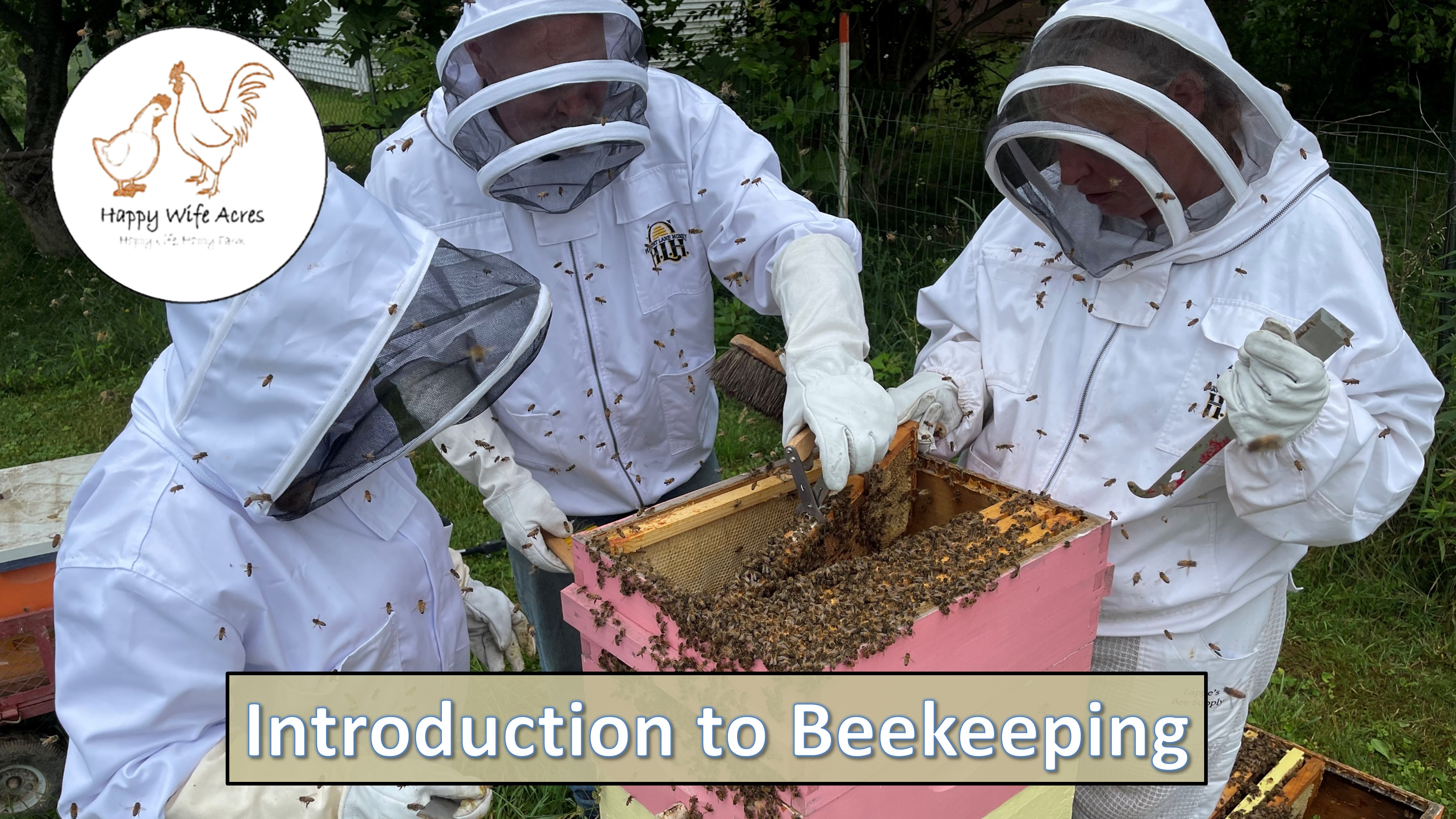 Introduction to Beekeeping Class, 25 May 2026, 10am-1pm