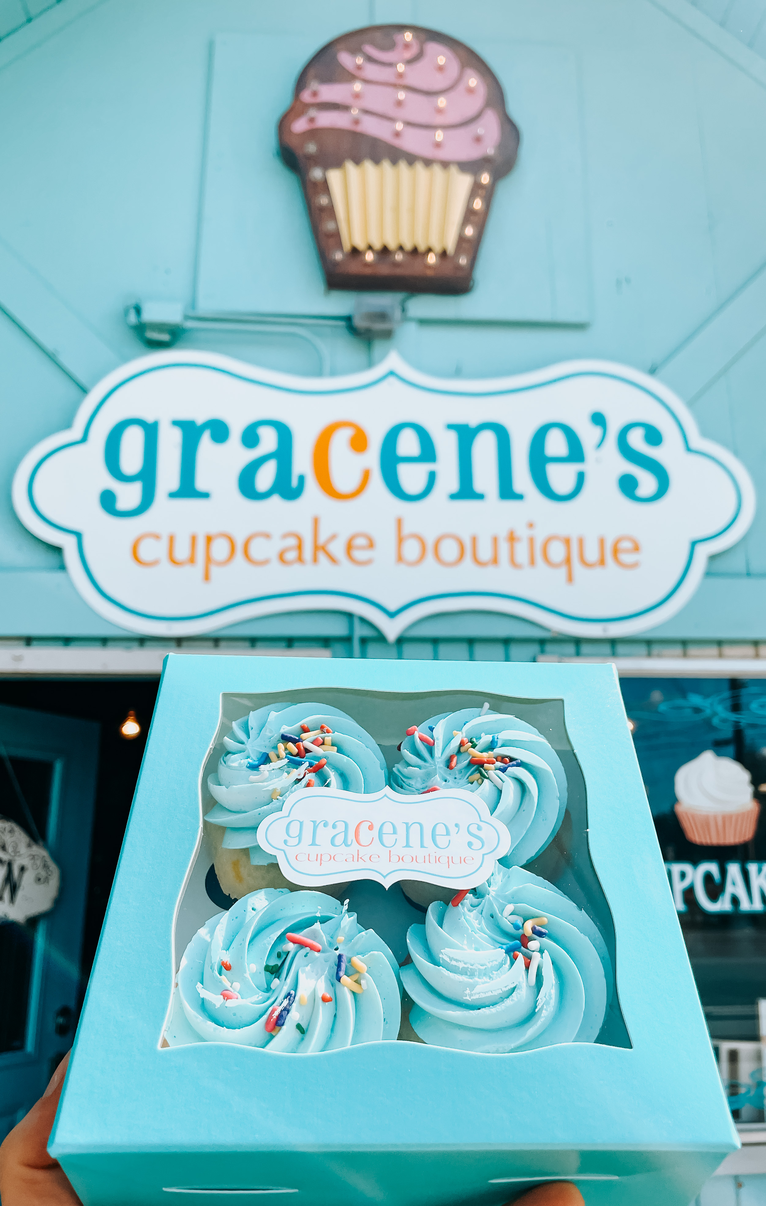 Box of 4 Mini Cupcakes